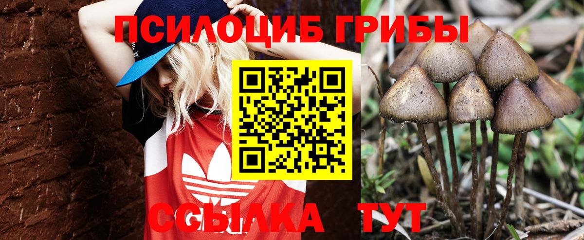 Псилоцибиновые грибы прущие грибы  Вход с VPN  Псилоцибиновые грибы Magic Shrooms  Янаул 